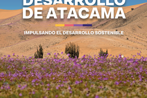 Captura de pantalla 2026-03-11 232355